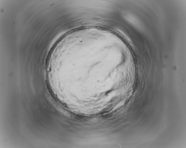 X0000074930891200609291754