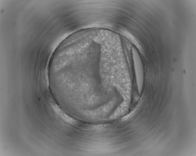 X0000074930892200609291754