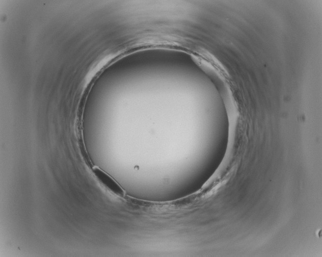 X0000074930893200609291754