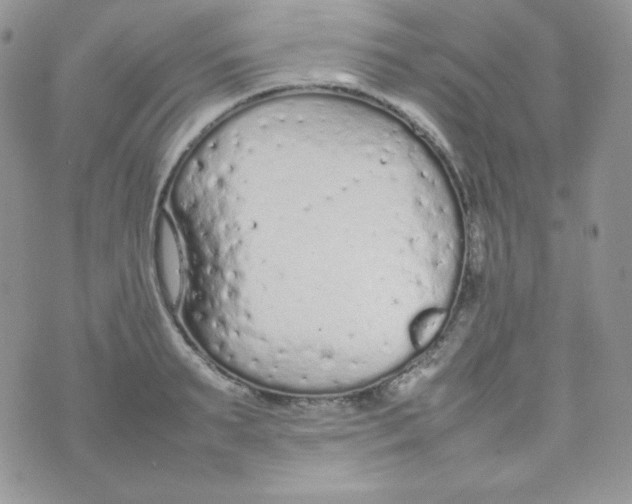 X0000074930895200609291754