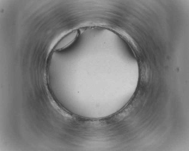 X0000074930896200609291754