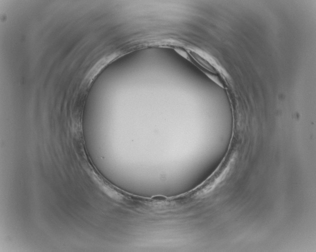 X0000074930897200609291754