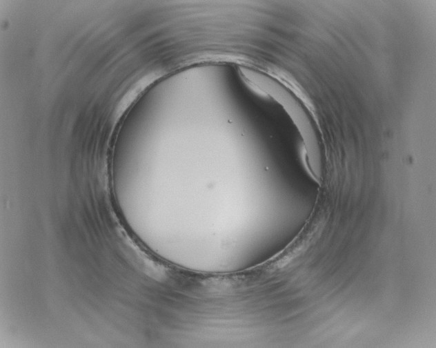 X0000074930898200609291754