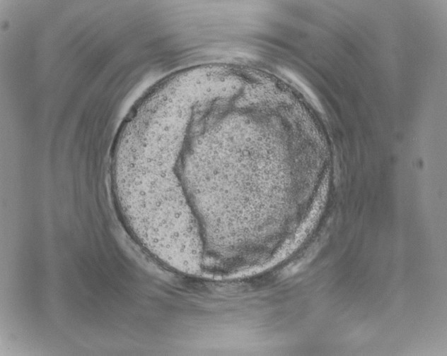 X0000074930899200609291754