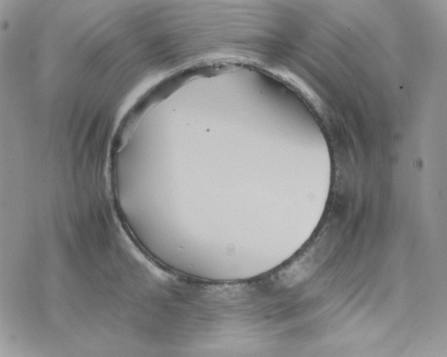 X0000074930902200609291754