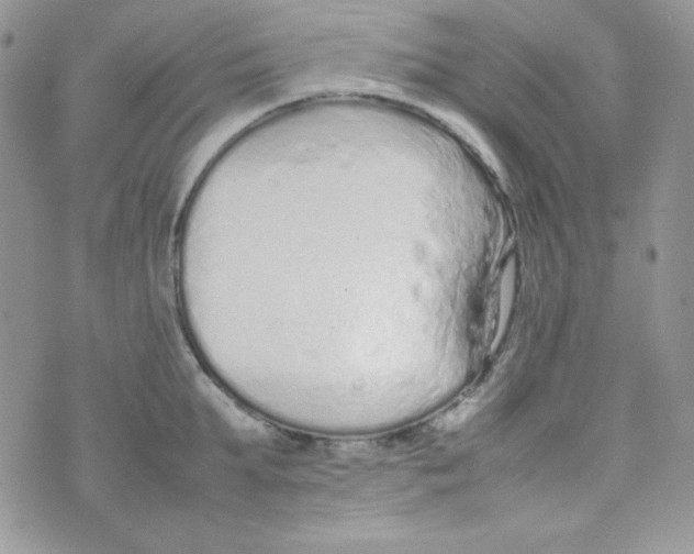 X0000074930903200609291754