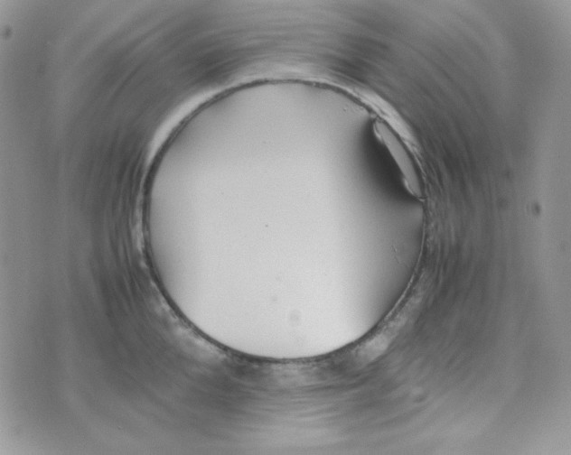 X0000074930904200609291754