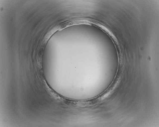 X0000074930905200609291754