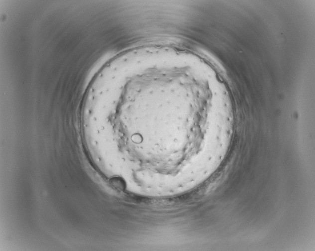 X0000074930907200609291754