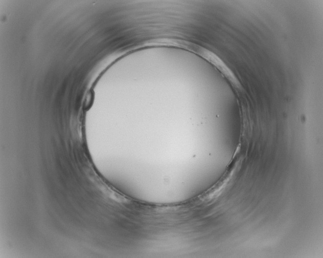 X0000074930908200609291754