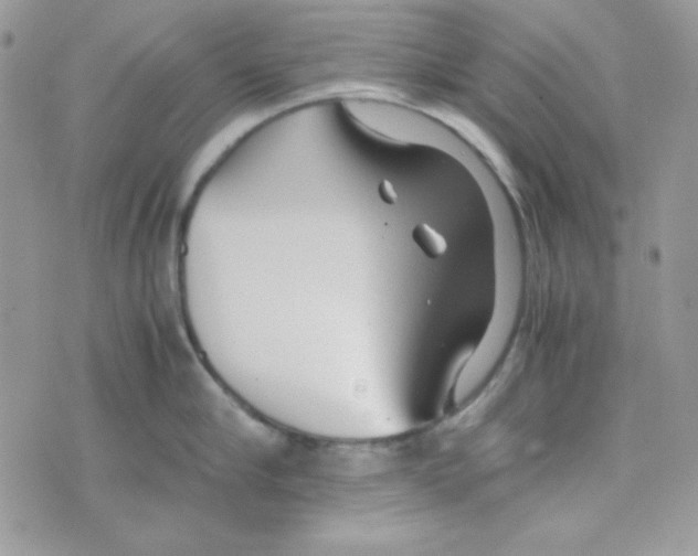 X0000074930910200609291754