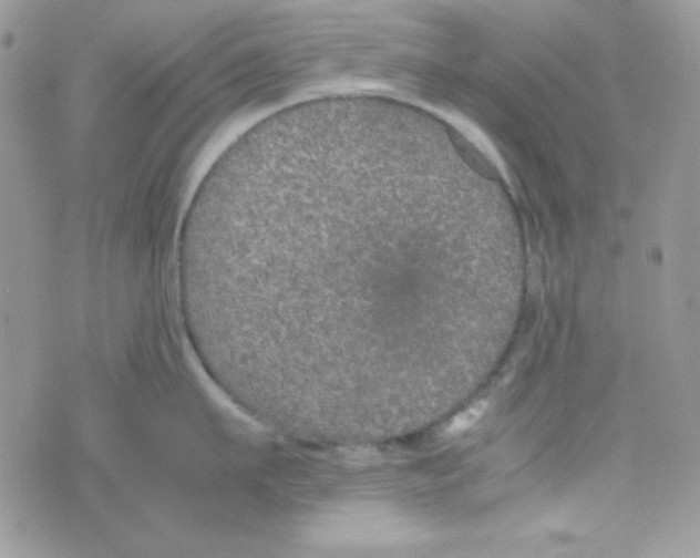 X0000074930911200609291754