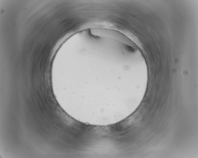 X0000074930912200609291754