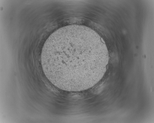 X0000074930913200609291753