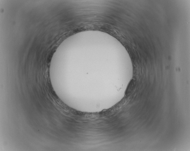 X0000074930914200609291753