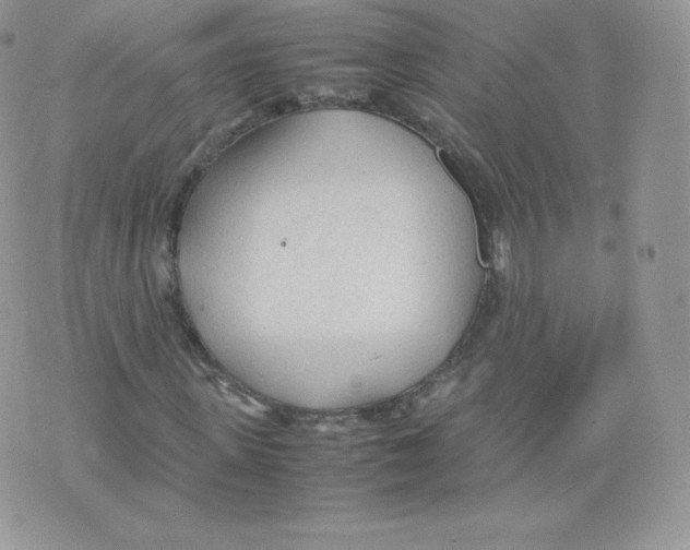 X0000074930915200609291753