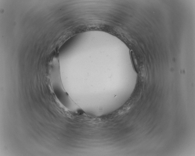 X0000074930916200609291753