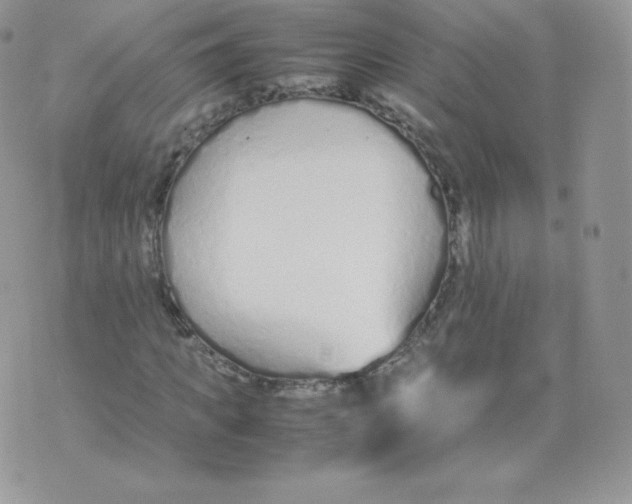 X0000074930917200609291753