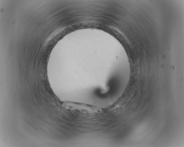 X0000074930919200609291753