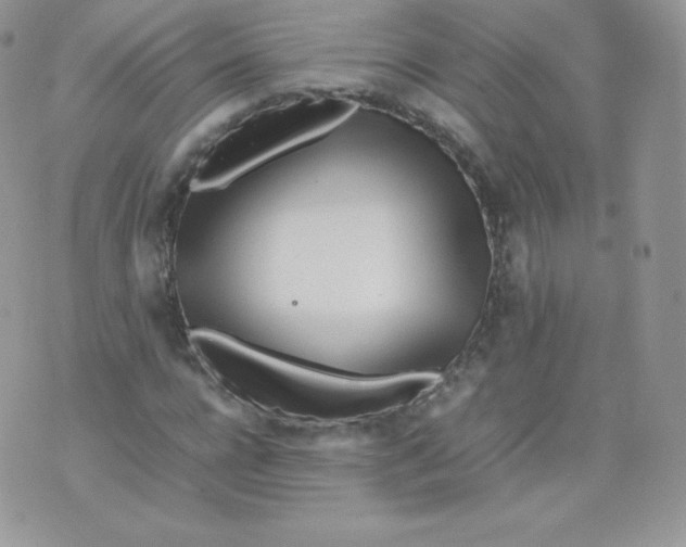 X0000074930920200609291753