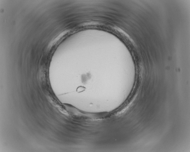 X0000074930921200609291753