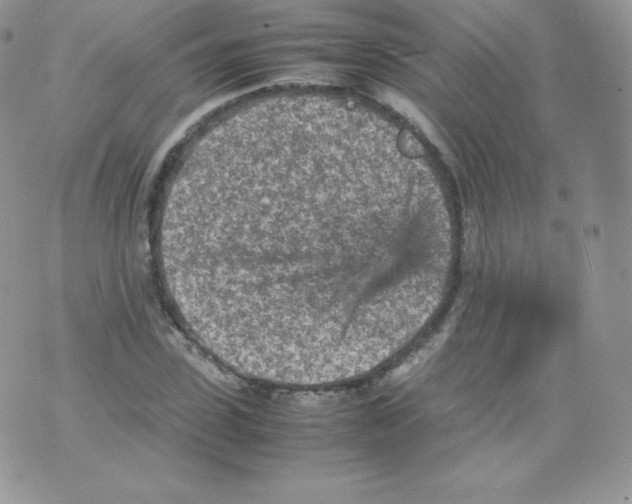 X0000074930923200609291753