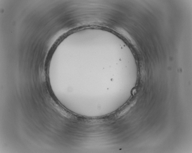 X0000074930924200609291753