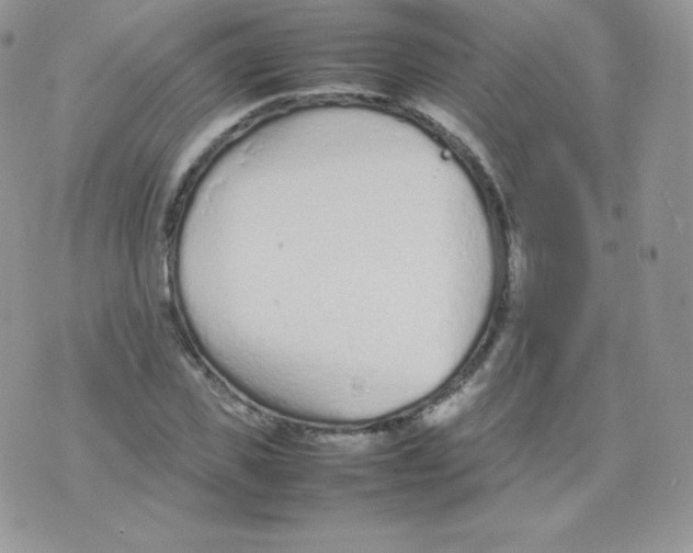 X0000074930925200609291753