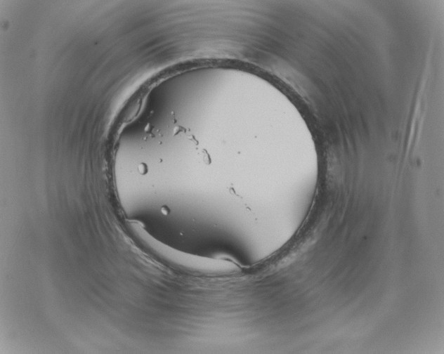 X0000074930926200609291753