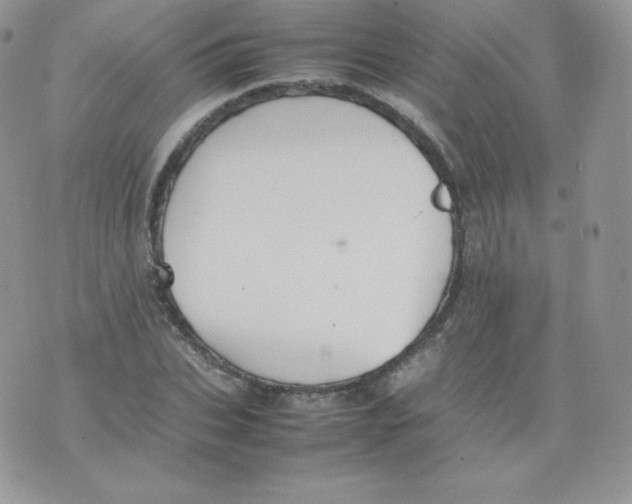 X0000074930927200609291753