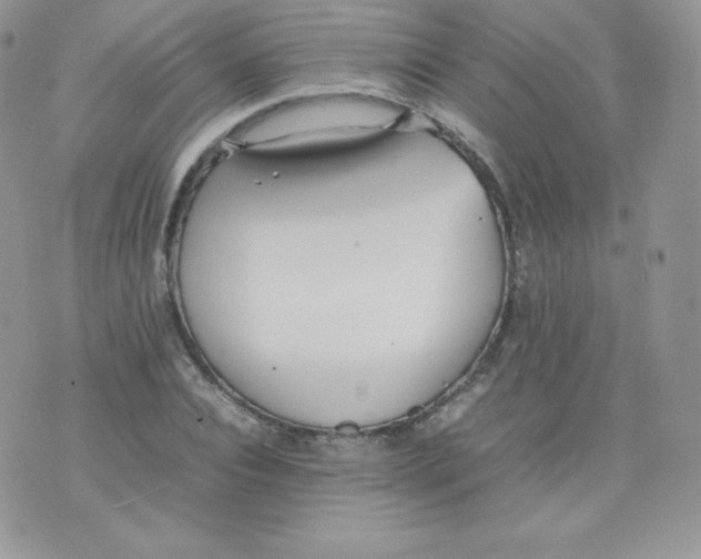 X0000074930928200609291753