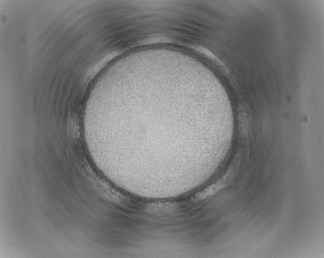 X0000074930929200609291753