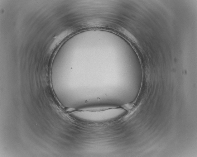 X0000074930930200609291753