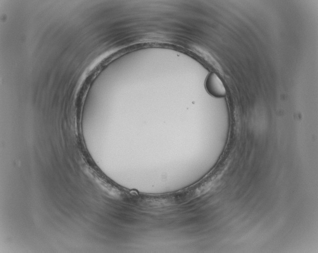 X0000074930931200609291753