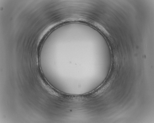 X0000074930934200609291753