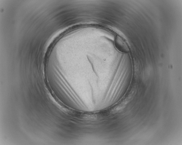 X0000074930935200609291753