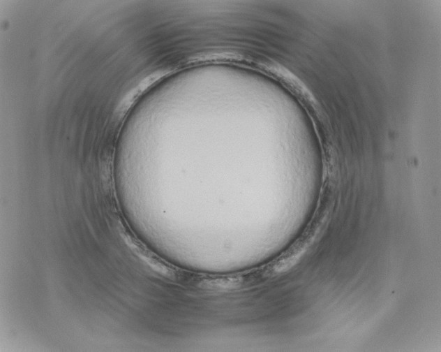 X0000074930937200609291753