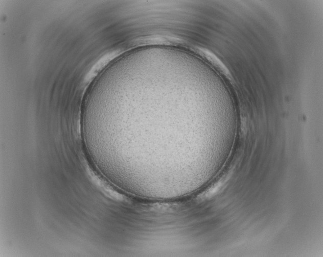 X0000074930938200609291753