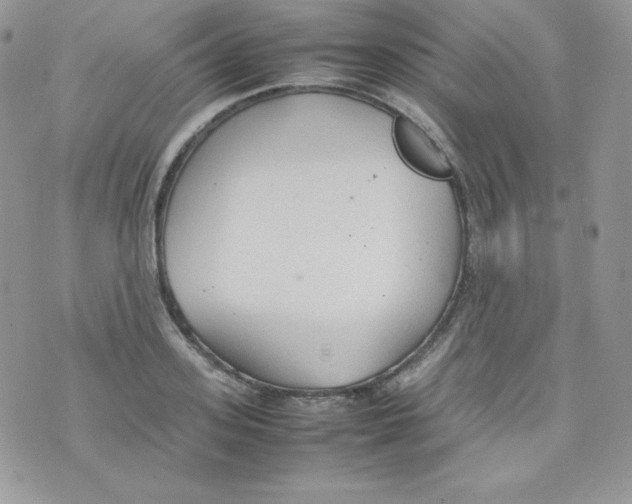 X0000074930939200609291753