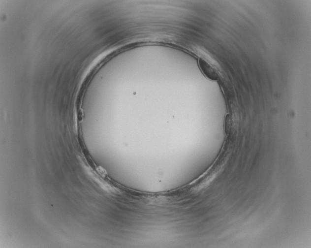 X0000074930940200609291753