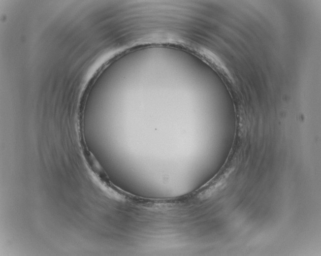 X0000074930942200609291753