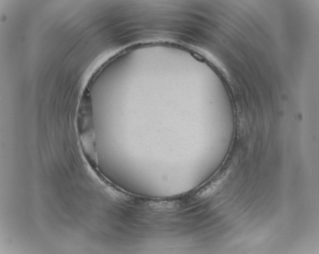 X0000074930943200609291754