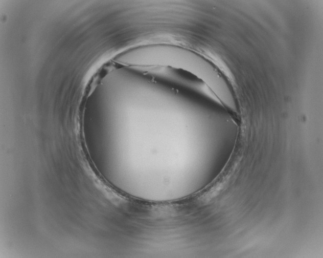 X0000074930944200609291754