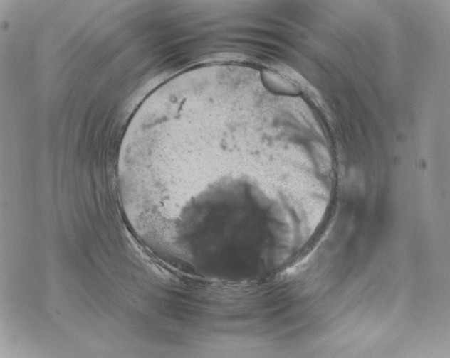 X0000074930945200609291754