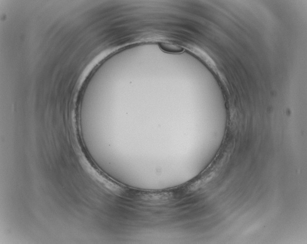 X0000074930947200609291754