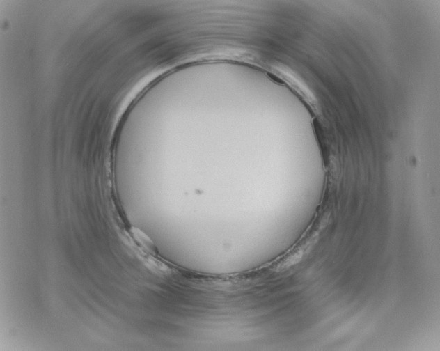 X0000074930948200609291754