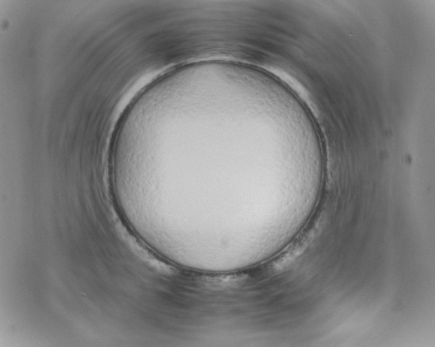 X0000074930949200609291754