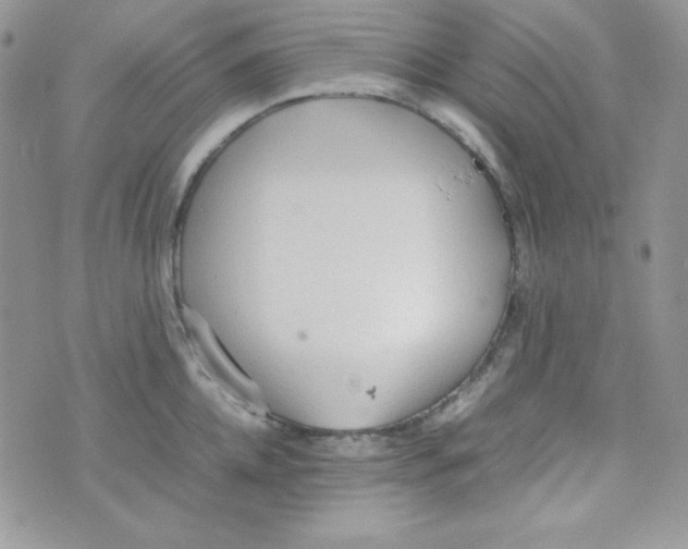 X0000074930952200609291754