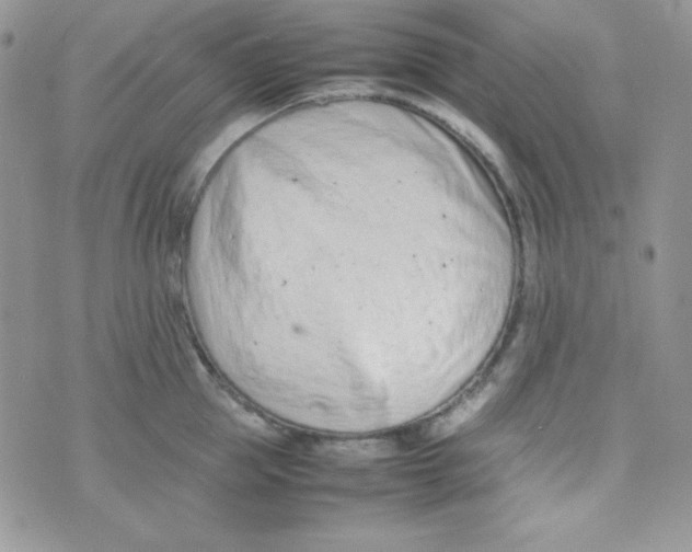 X0000074930953200609291754