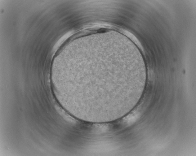 X0000074930954200609291754